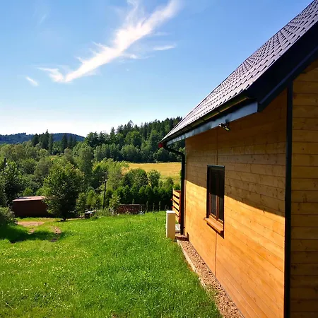 W Bartnicy - Gory Sowie *