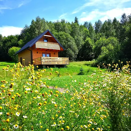 W Bartnicy - Gory Sowie *