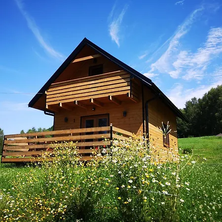 בית נופש W Bartnicy - Gory Sowie