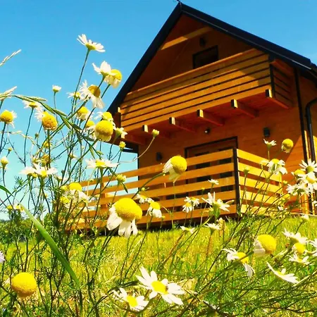 W Bartnicy - Gory Sowie בית נופש *