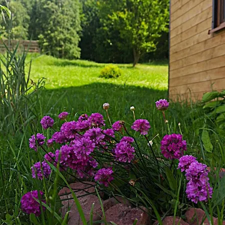 W Bartnicy - Gory Sowie * Sokolec