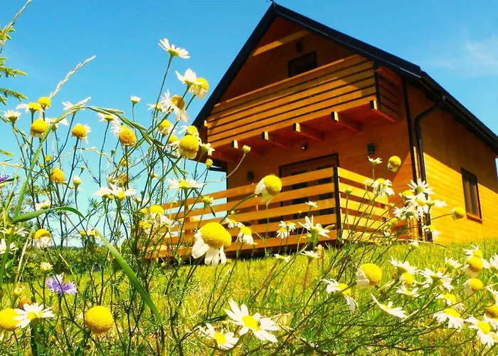 W Bartnicy - Gory Sowie Holiday home *