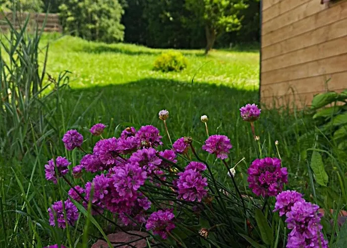 W Bartnicy - Gory Sowie * Sokolec